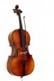 Violoncel Ren Wei Shi Model 7000   